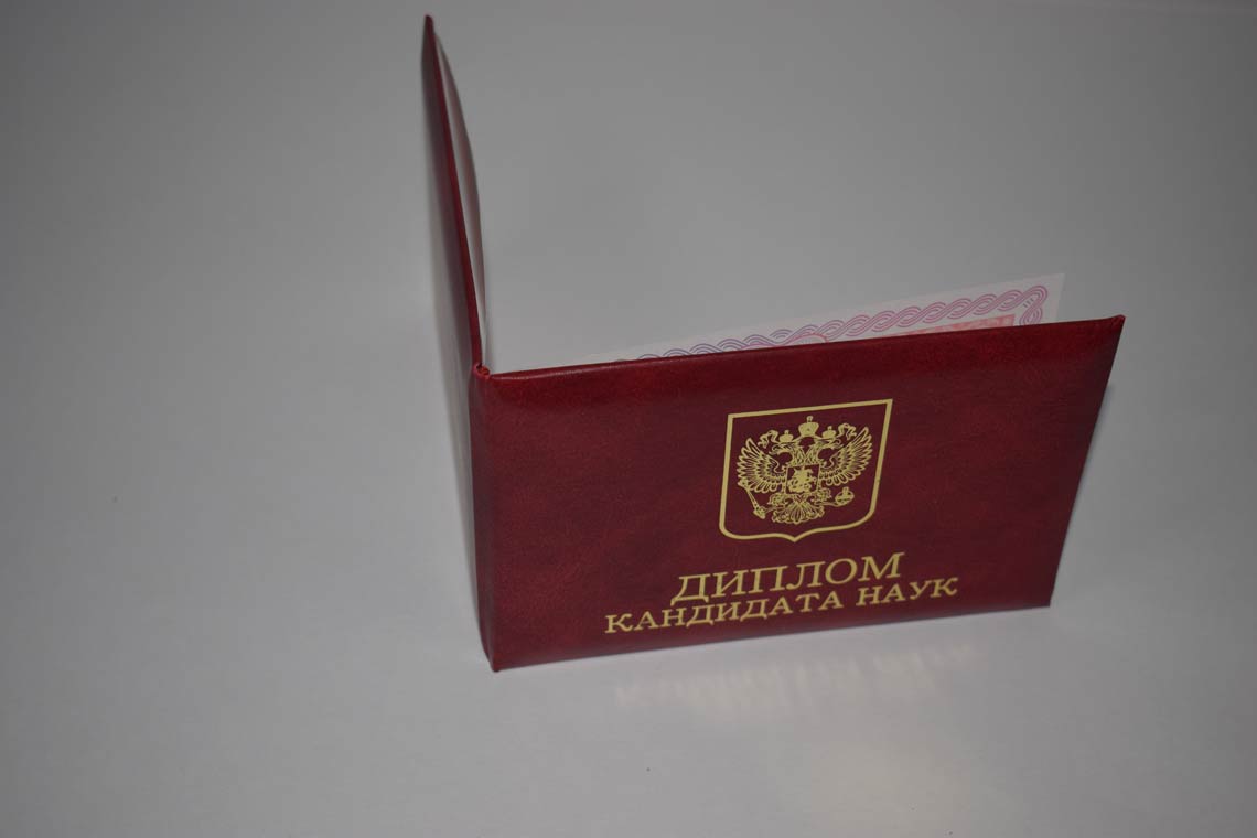 Диплом Кандидата Наук 2013-2016 в Электростали корка