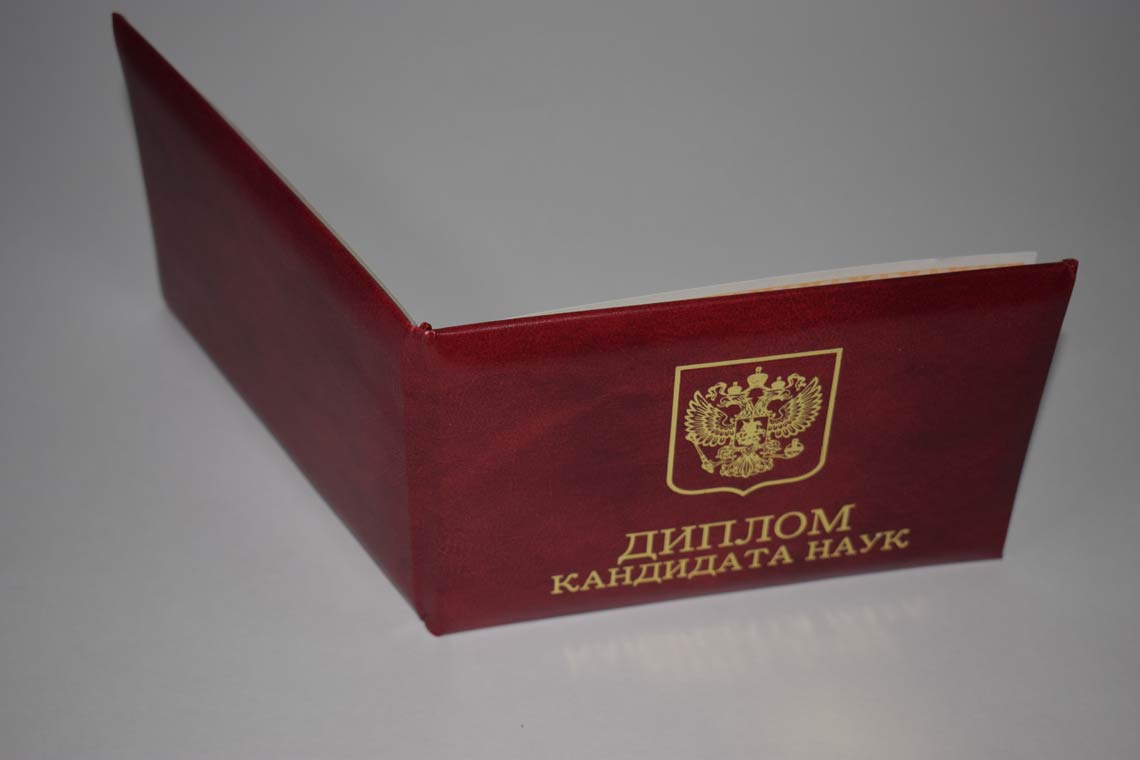 Диплом Кандидата Наук 2017-2025 в Электростали корка